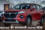 Maruti gleaming Cervo launched