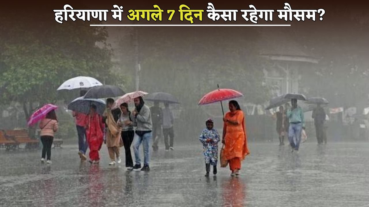 How will the weather be in Haryana for the next 7 days?