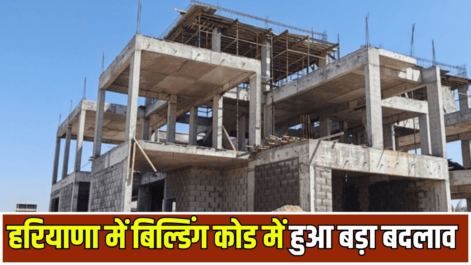 haryana news