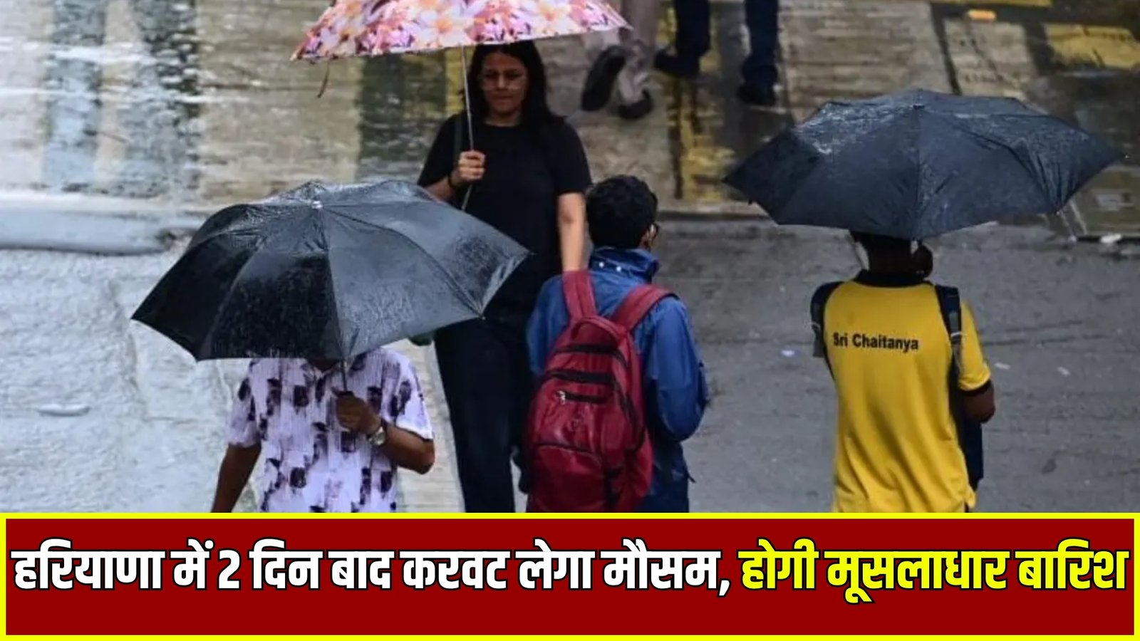 haryana weather update