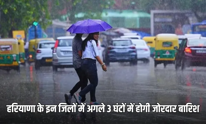 There will be heavy rain in these districts of Haryana in the next 3 hours