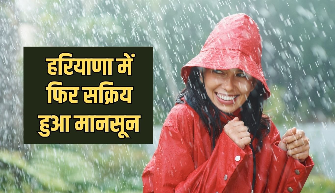 Monsoon became active again in Haryana